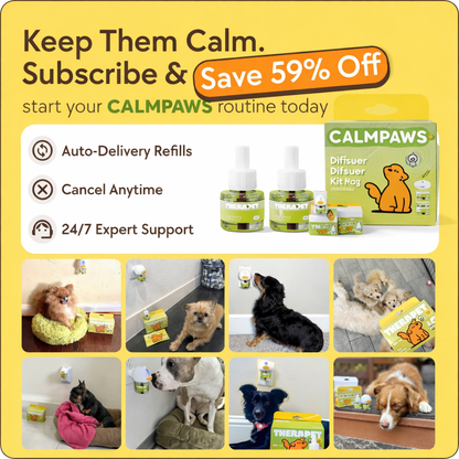 Dogs Calming Diffuser Kit